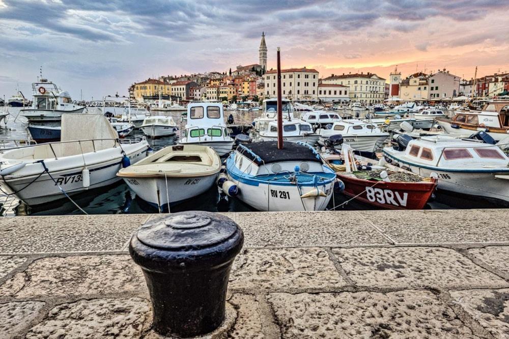 Rovinj City Studios מראה חיצוני תמונה